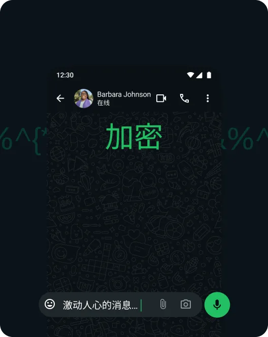WhatsApp 应用截屏,显示了消息已进行端到端加密