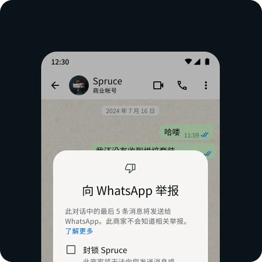 用户举报有问题的联系人或消息，以保障安全的 WhatsApp 体验